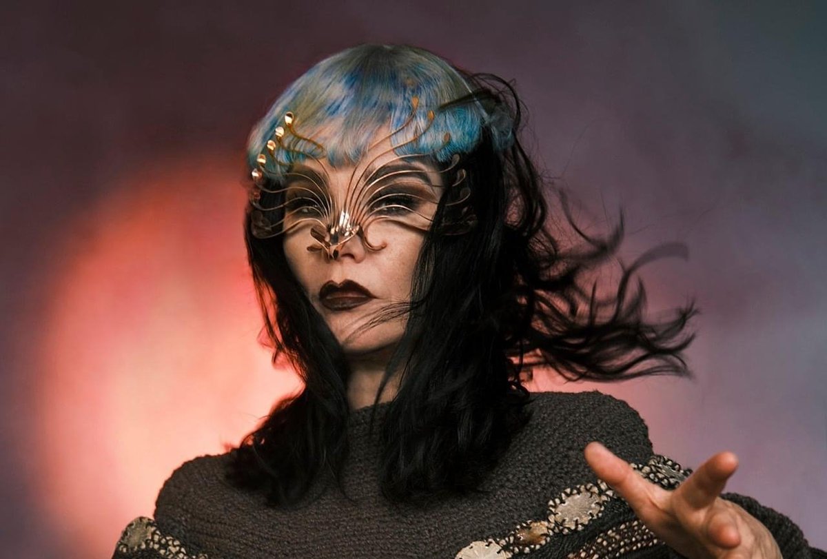 acervö björk tweet media