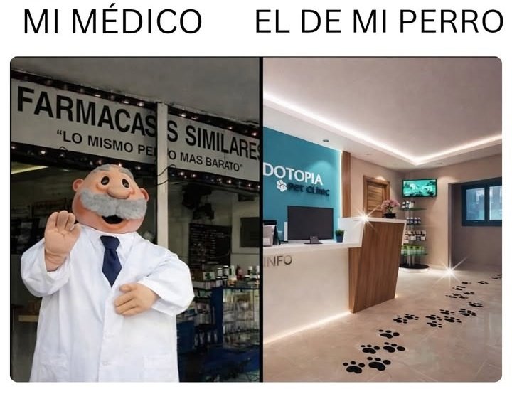 Sí 🙂‍↕️🐶