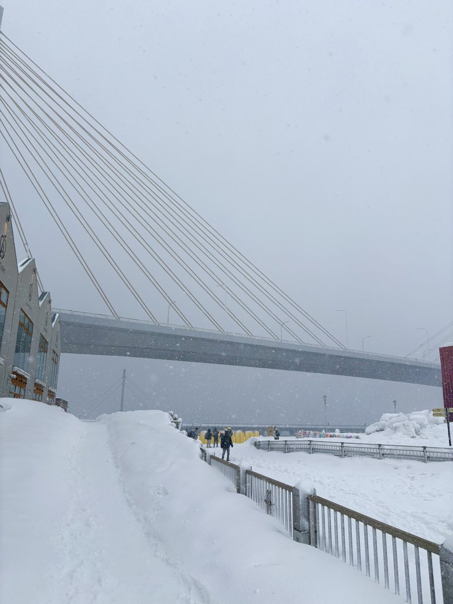 nonaru2025's tweet photo. きゅんパスで日帰り青森。すごい雪❄️
雪国は税金を安くした方がいいんじゃないかと思う。雪かきや光熱費が大変すぎませんか。そしたら移住に手を挙げる人もいるかもしれない。そういう地方創生はどうでしょうか。 https://t.co/QAlT9x3gRP