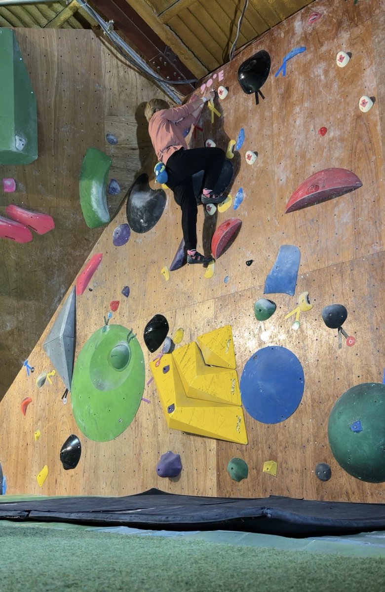 伊藤恵 (@meggmog) / Posts / X