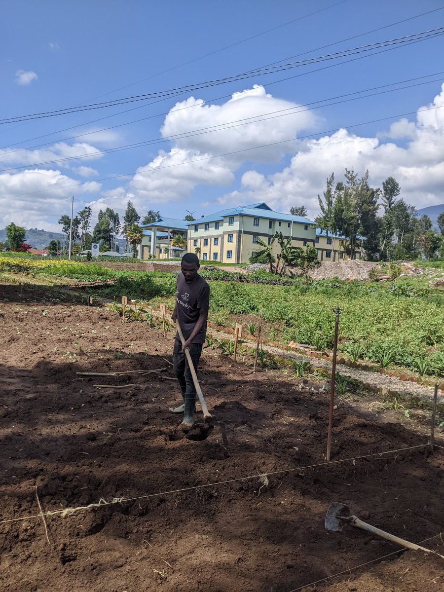 Students expectations in their research 
Bachelor students’ research is expected to show understanding of their field, basic research skills, and clear communication of results applying theory to practical problems with proper methodology and originality.
#Reseachinagriculture