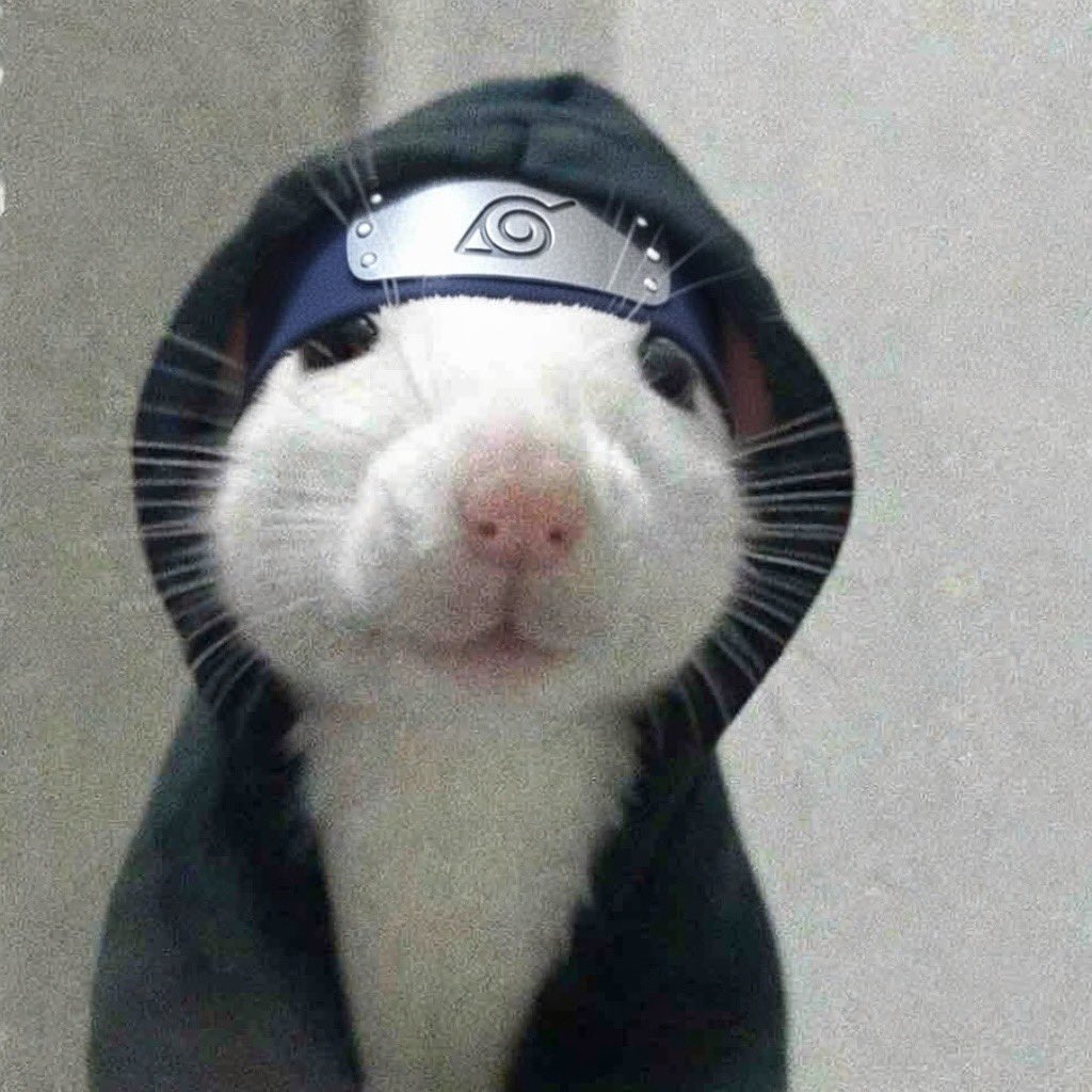 Heard he knows some forbidden jutsu’s