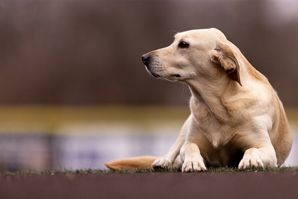 Roll Stable tweet media