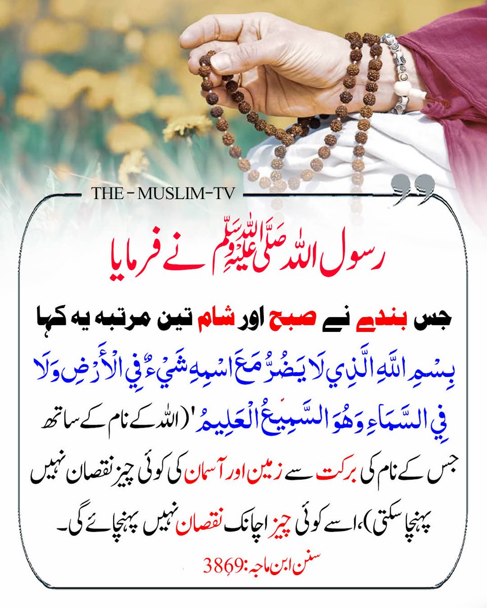 Asmavia Chaudhary🇵🇰 tweet media