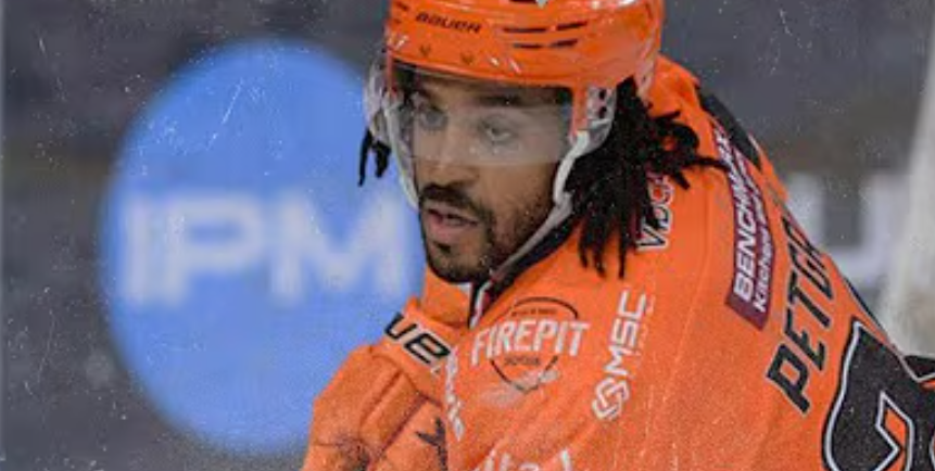 Siegvarg tweet media