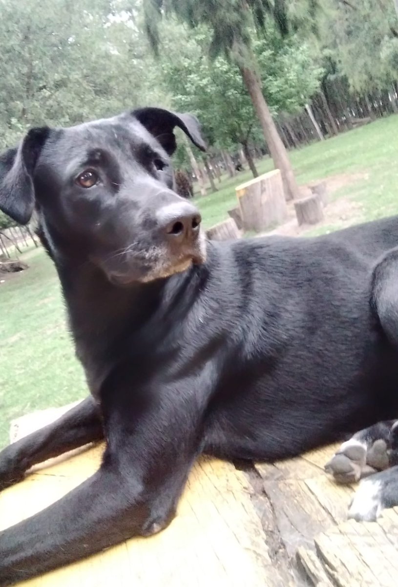 ixcel ram tweet media