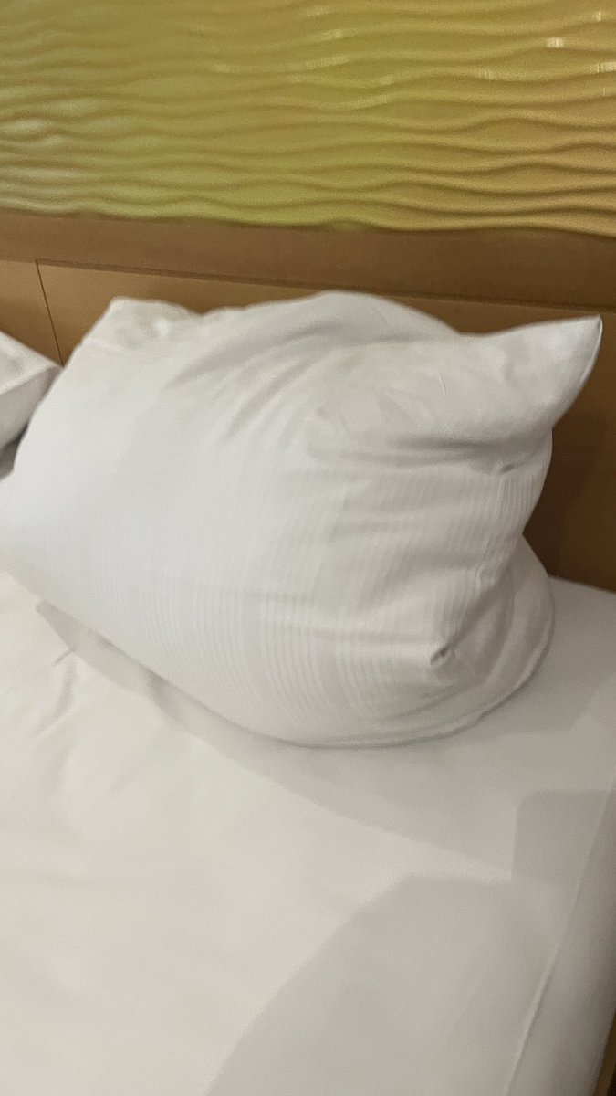 Can somebody pls teach me how you're supposed to use German hotel pillows?? I always have a neck ache when I travel in the country