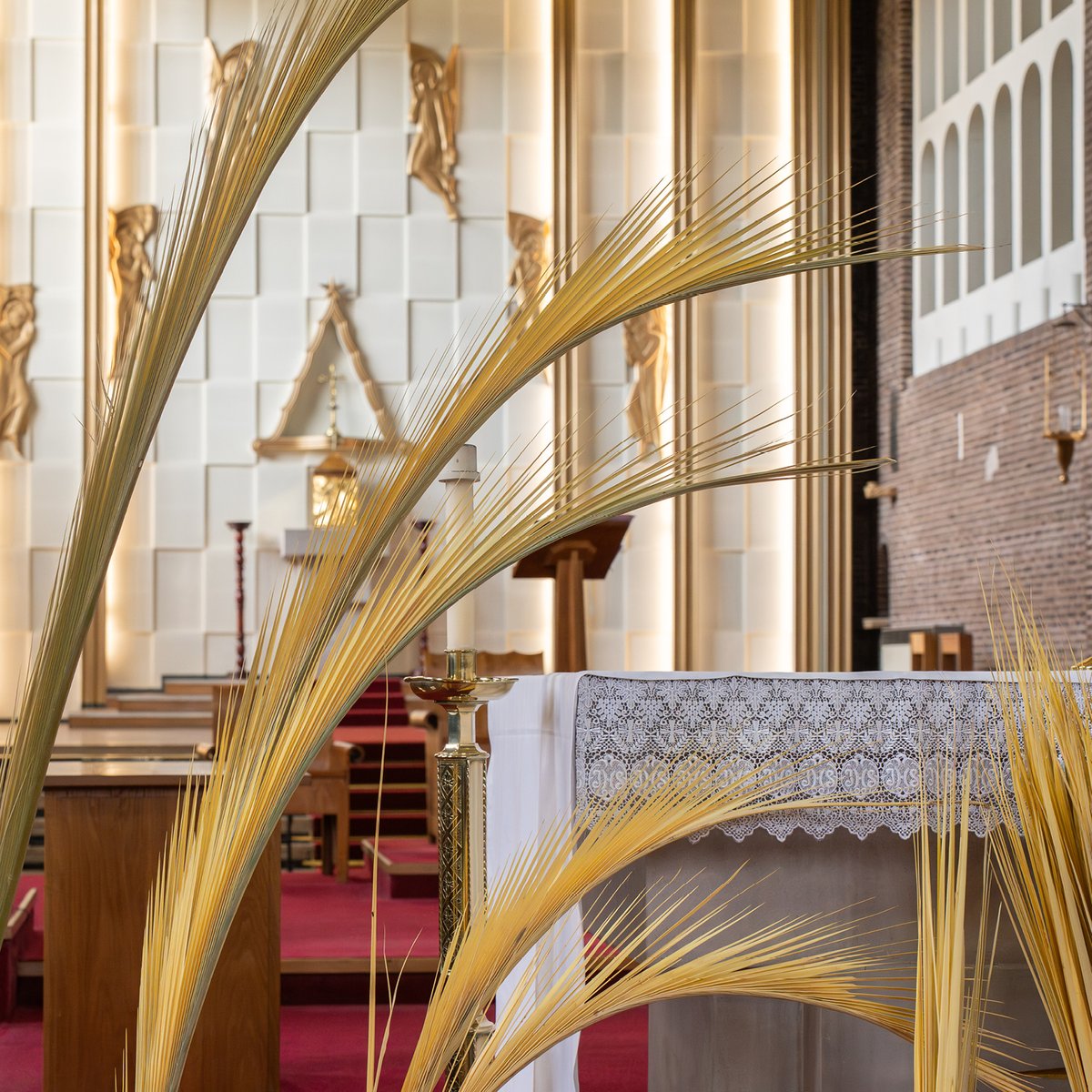 A Golden Church Display!🌾

Our fresh golden #palm branches can enhance the #Church decor throughout #Easter celebrations, and can also add presence and warmth to #processions - With only 6 weeks to #PalmSunday, buy now to guarantee delivery in time!

hfltd.com