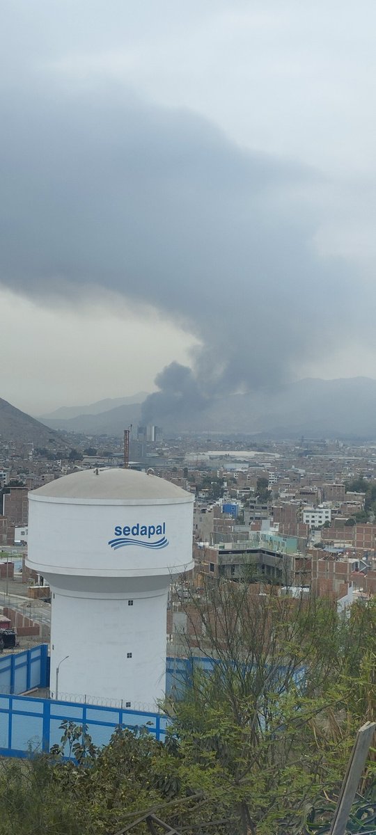 FE GOYTI tweet media