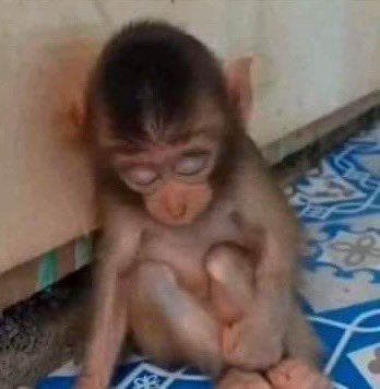 aun me quedara mi corset  de la Rihanna ?

tengo como 2 años sin usarloo