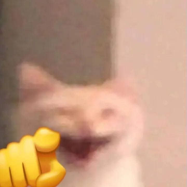 VlaDyMango🥭 (moment show) tweet media