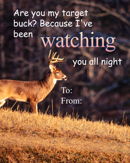 S.C. Dept. of Natural Resources tweet media