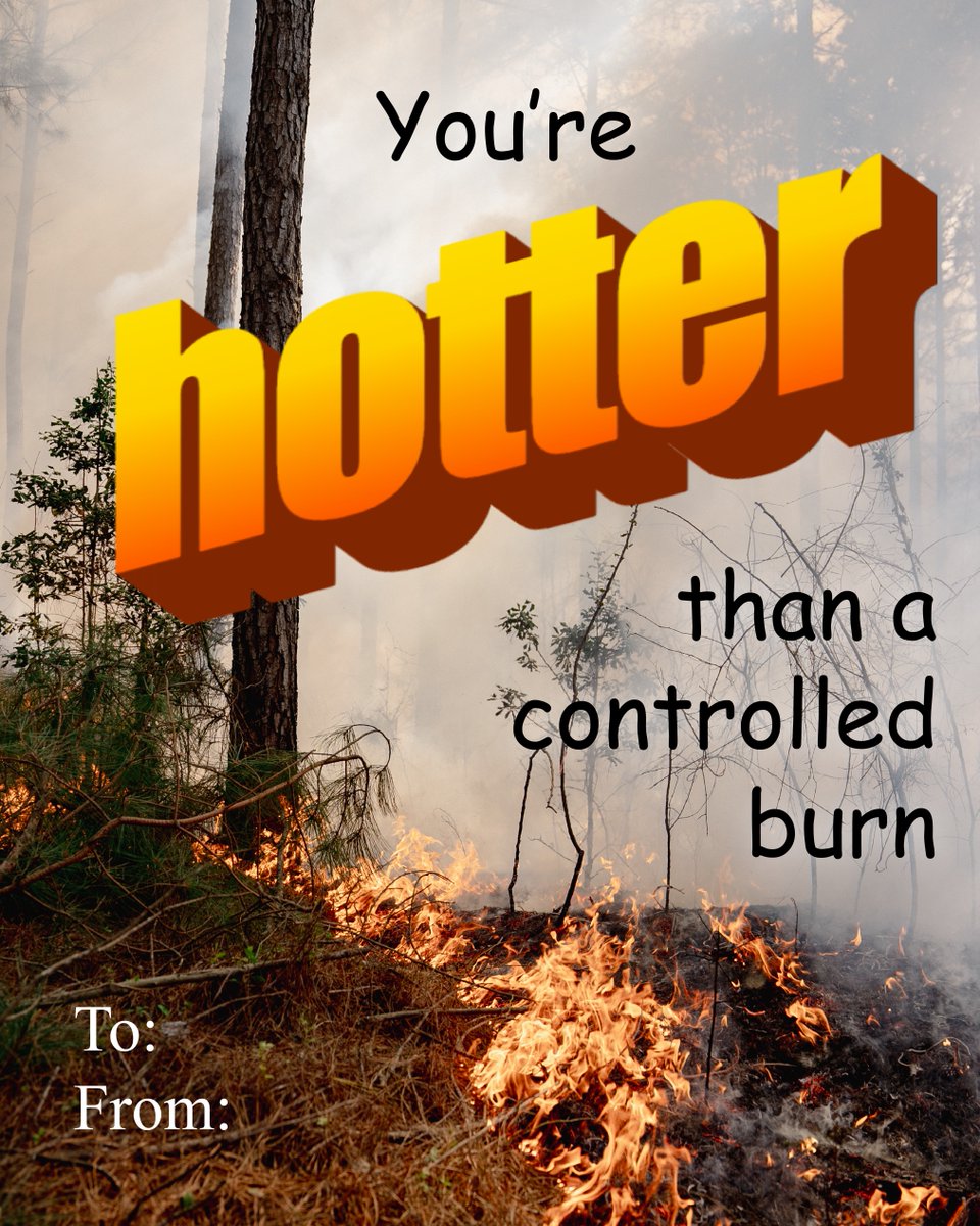 S.C. Dept. of Natural Resources tweet media