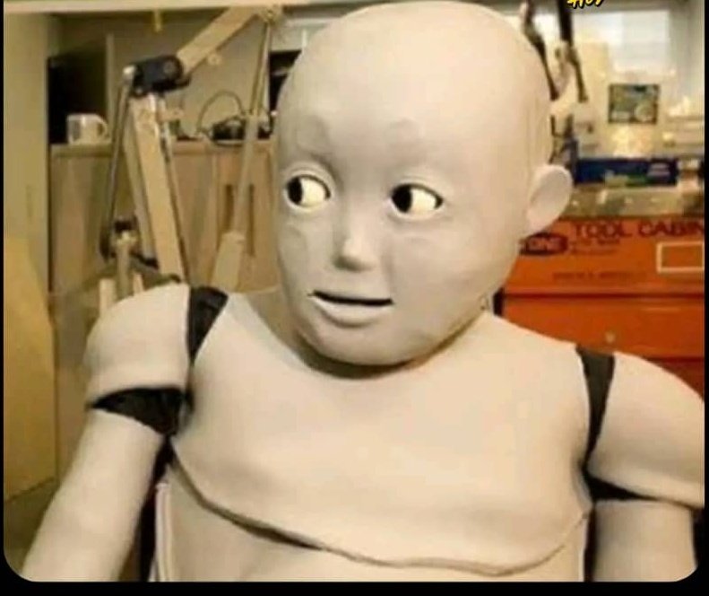 Nobody:

How your trading bot looks at you when you deposit $5 and expect it to flip it to $100k 😂😂