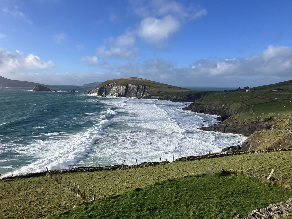 Eva Ní Shúilleabháin tweet media