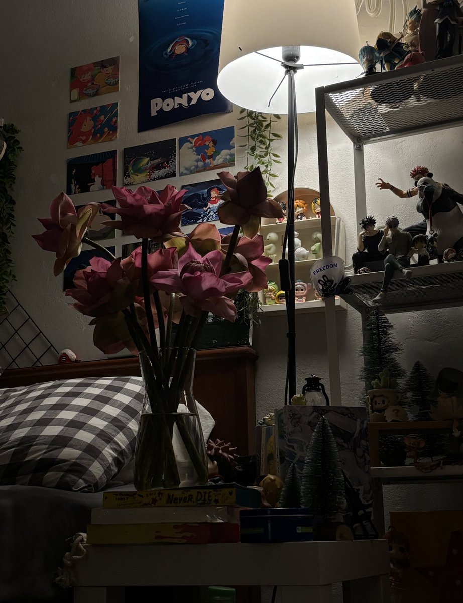 ยืนยันอีกเสียงคับว่าบัวงามจริง ทางนี้ซื้อมาใส่แจกันบ่อยเลยช่วงนี้