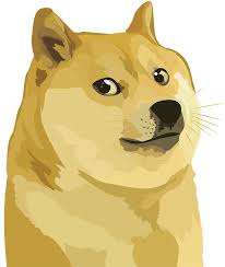 Like, if Elon Musk should integrate a Dogecoin wallet into X Money.