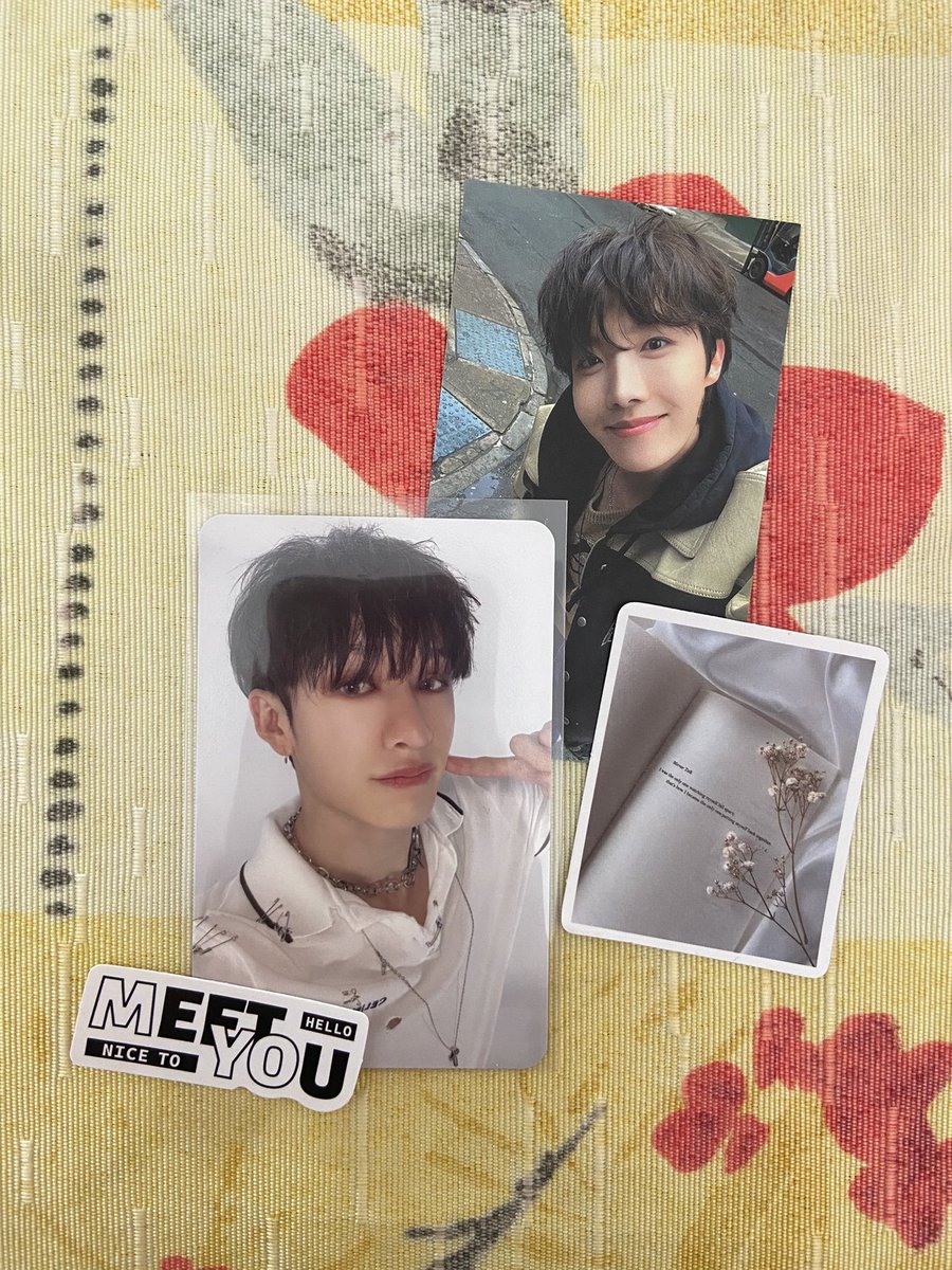 feedback positivo para a <a href="/hanieyoonluvs/">indy vai ver o skz de novo ✨️</a> que me vendeu esse chan rockstar que era meu sonhooo!! obrigada querida 🫶🏻