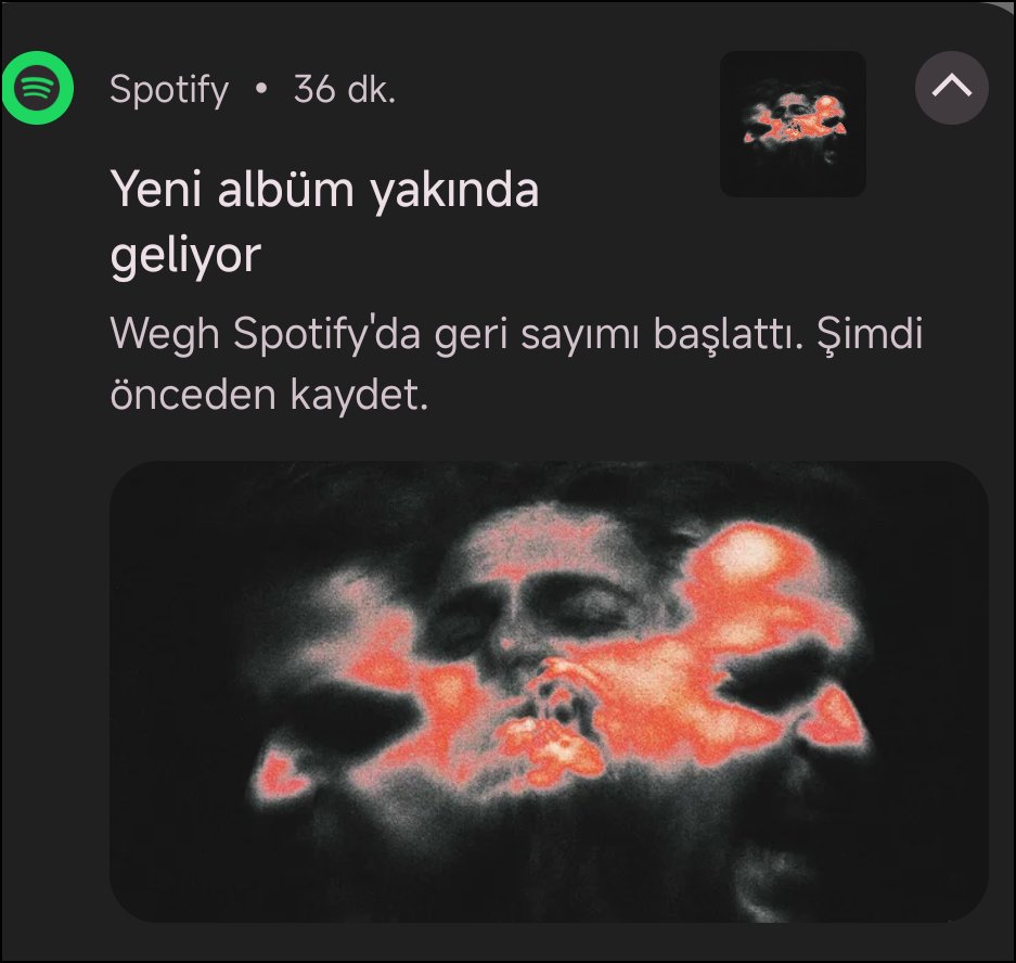Ben bu adamın ciddiliğine inandım şuan eğer çıkarmazsa fena sövcem ama