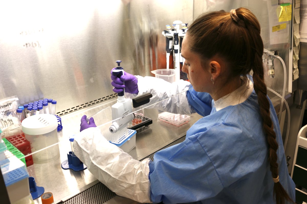 ncats_nih_gov's tweet photo. Researchers from @NIHs’ 3-D Tissue Bioprinting Program & @UWMedicine created a 3-D tissue model that mimics the structure of human skin to study how herpes simplex virus (#HSV) infects cells & to better predict drug responses. This model offers hope for improved #DrugDiscovery & treatments for an incurable disease affecting two-thirds of the world’s population. Learn more: https://t.co/JFoMXTx3W8 #3DBioprinting