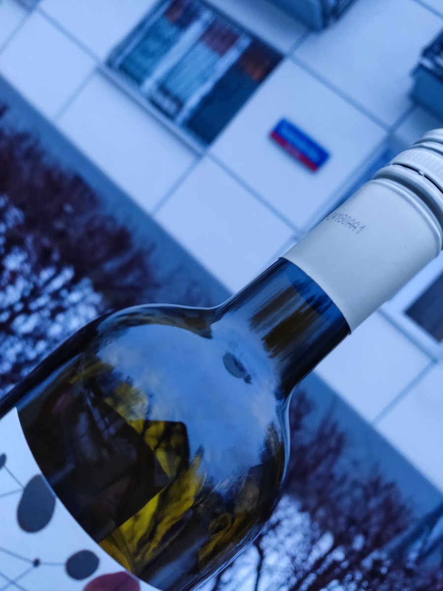 Dziś w Niderlandach. Uwierzcie na słowo.