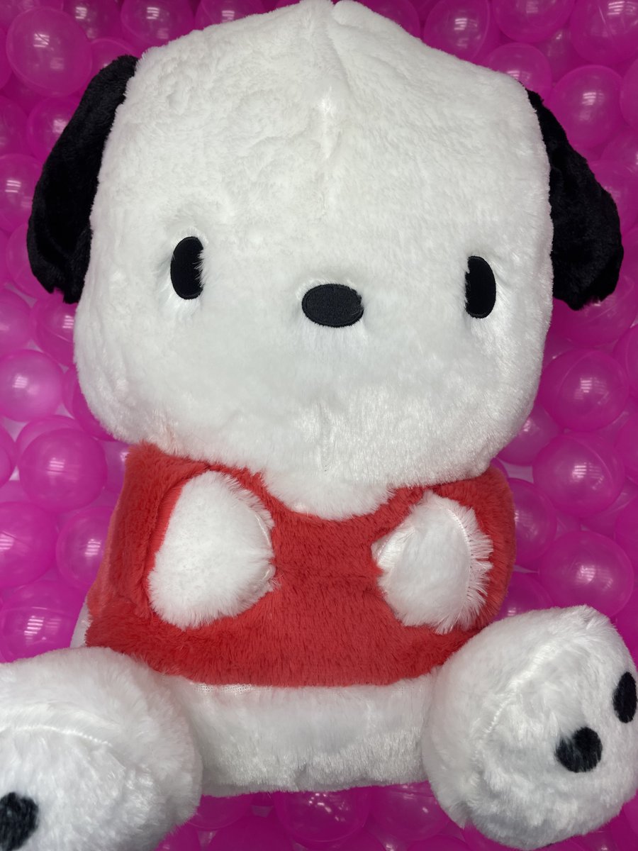 🔥最新プライズ情報🔥 #サンリオ より 毛足がふわふわなポチャッコの