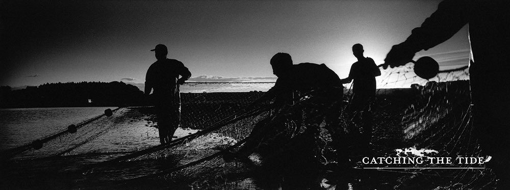 DocumentScotland tweet media