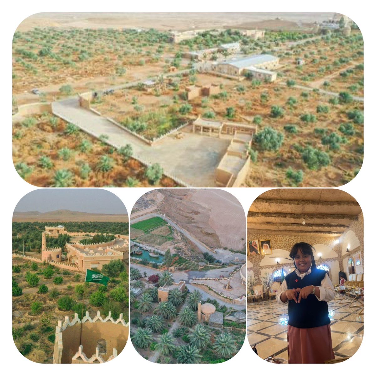 اخبار عودة سدير tweet media