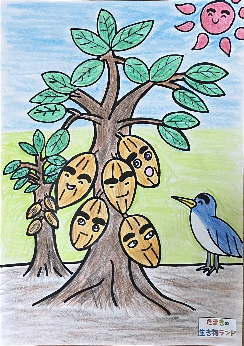 2/13（金）　YESfm maidostation
10:00〜13:00 📻

16:45〜 #たまきの生き物ランド  は
【カカオ】
・幹に直接なる
・通貨だった
・受粉相手はハエ
なのに最後は「愛の象徴🍫」になる話を
シュールなラジオドラマにしあげました

きいてね✨

#カカオ
#バレンタインデー　
#パートナーズプロタレント