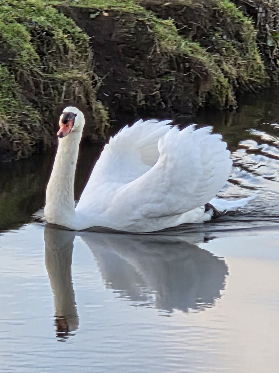 Bart Bruijn. tweet media