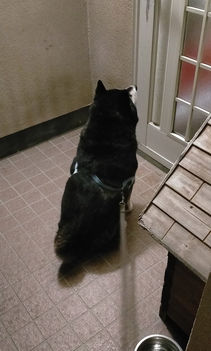 まめたろう (@mamemamemakmaki) / Posts / X