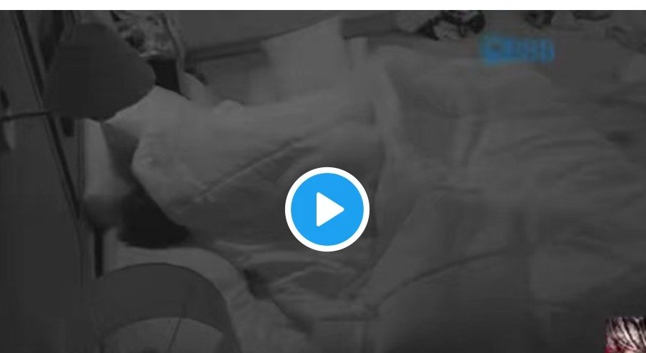 Luned Henry tweet media