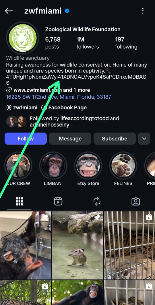 KryptoKurious88's tweet photo. So 2 instagram accounts with 1m+ followers each have $ZWF CA on their bio... connect the dots

Lose your position if you like running the rat 🐀  race

$ZWF to millions is coded
4TUHgR1pNbmZaWyi41XDNGALVvpoK4SaPCDnxeMDBAGS https://t.co/jdwyKwdPHd