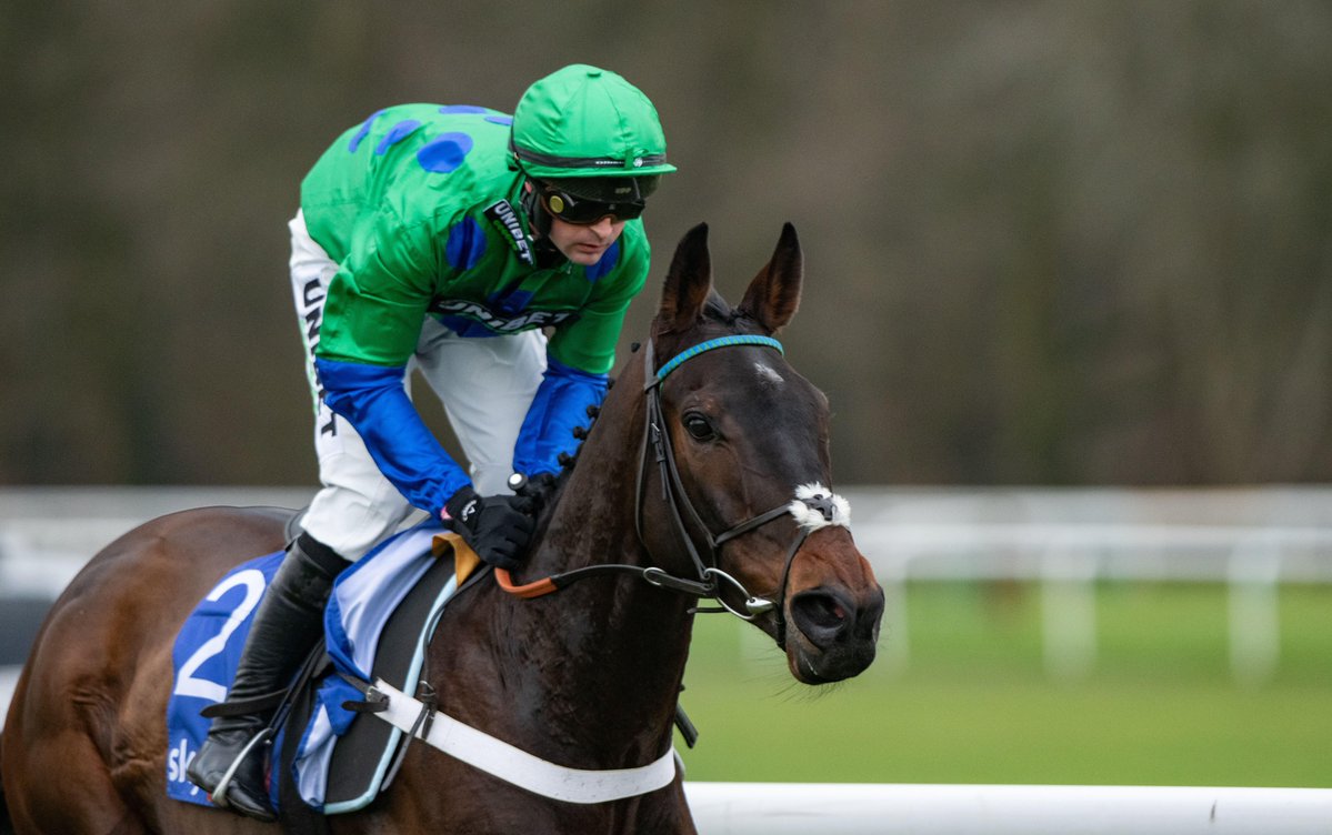 The Winners Enclosure tweet media