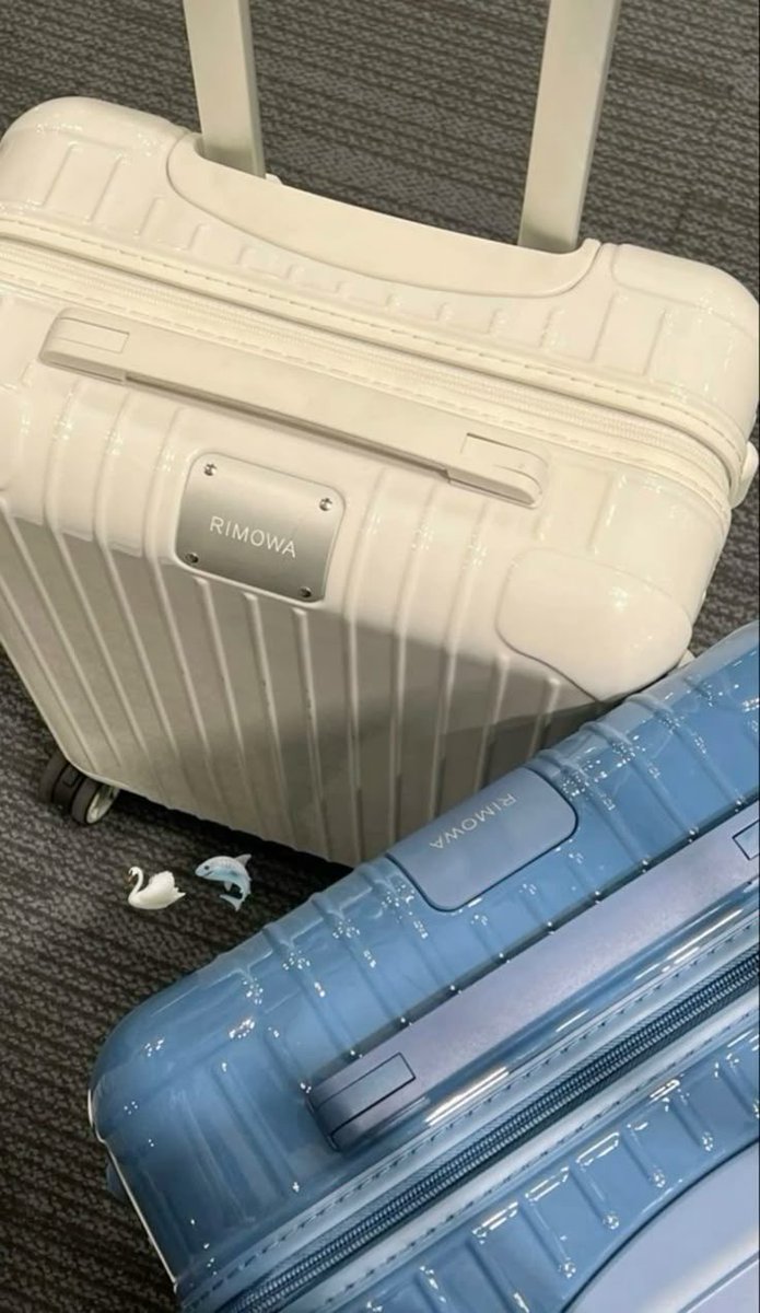 𝒛𝒊𝒂 tweet media