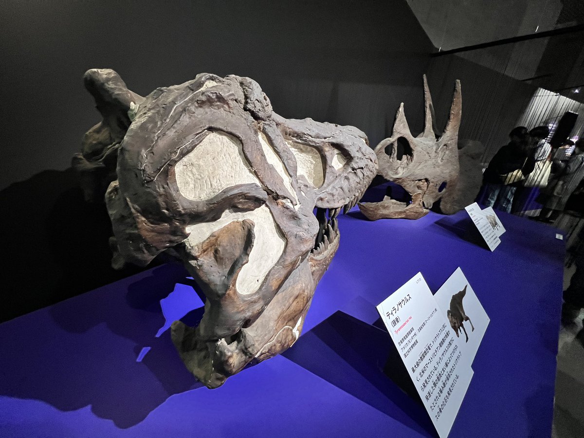 レニー🦖NFT『DinoRenny』Founder🦕 tweet media