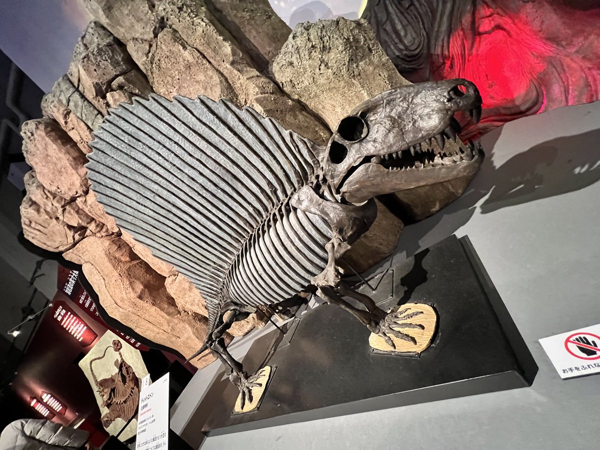 レニー🦖NFT『DinoRenny』Founder🦕 tweet media