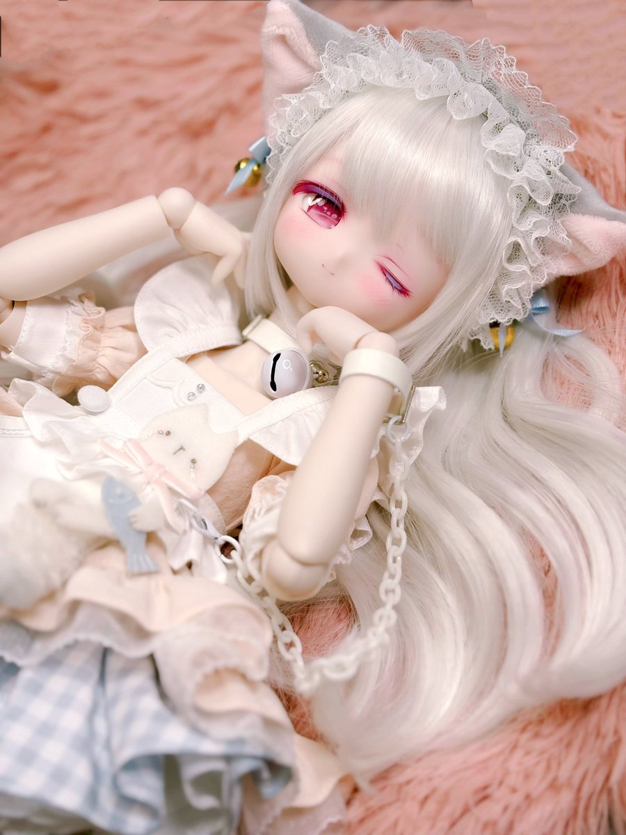 🐈💕 #つみどーる