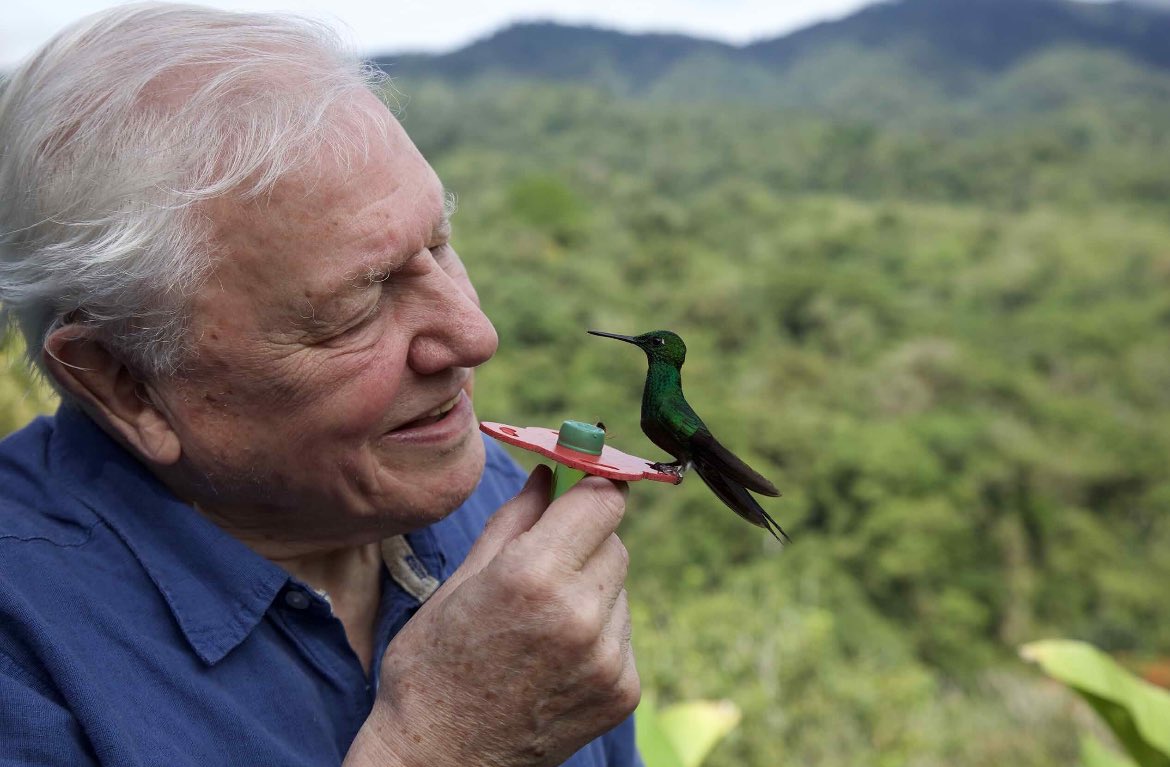 Karthi_Wanders's tweet photo. #LifeInColourWithDavidAttenborough சீரிஸ் ❤️
உலகத்துல இருக்குற அனைத்து வகையான விலங்குகளின் வாழ்க்கைலையும், நிறங்கள் எவ்வளவு முக்கியமானதுன்னு பேசுறது தான் இந்த சீரிஸ். வெறும் 3 எபிசோட் தான். ரொம்ப அருமையா இருக்கு. தெளிவா சொல்லியிருக்காங்க.🔥
1/3
#LifeInColour #DavidAttenborough https://t.co/AJAEYRehtd