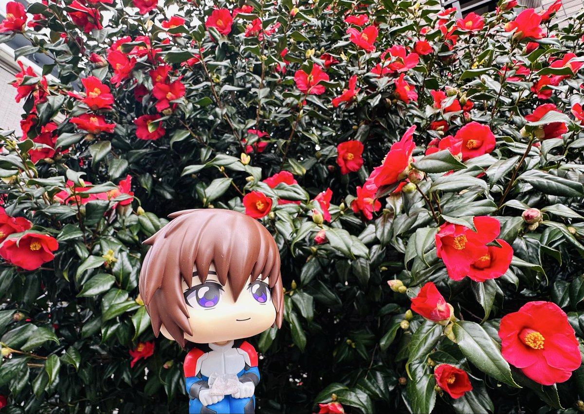 mitsuha🥚 tweet media