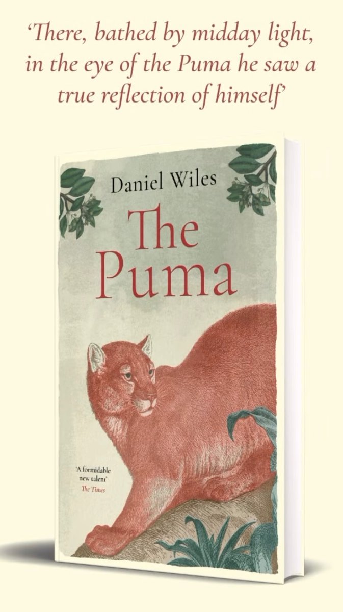 Daniel Wiles tweet media