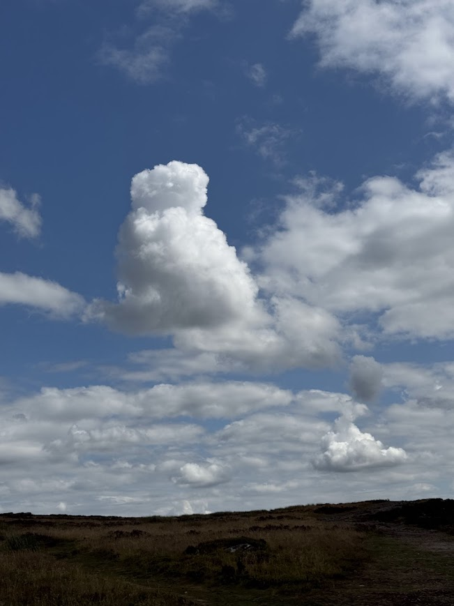 Jocaccia tweet media