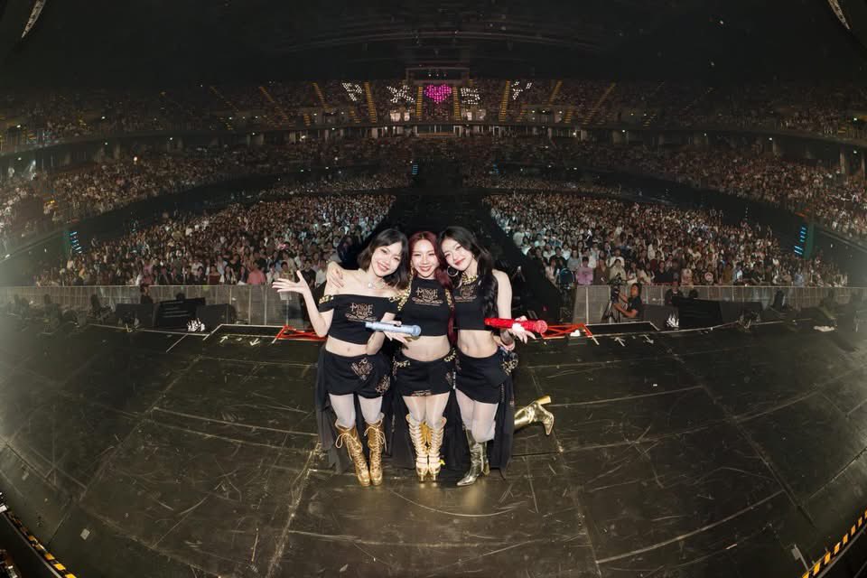 A•M LIGHT BOX tweet media