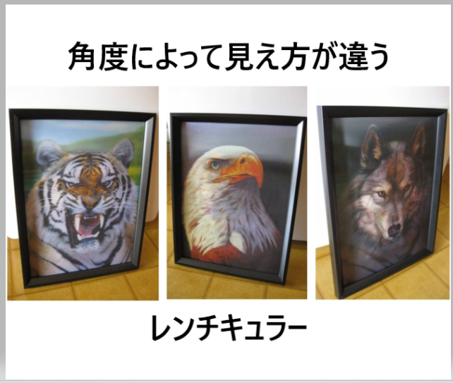 狼 レンチュラー 絵 角度によって 3種類に見えるレンチキュラーを 飾っています(^o