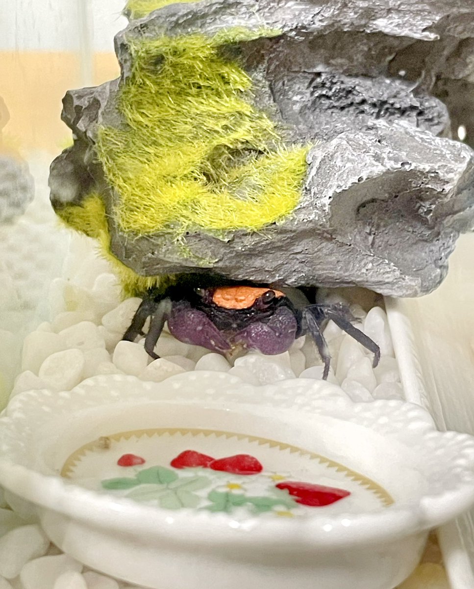 挽肉の世 tweet media