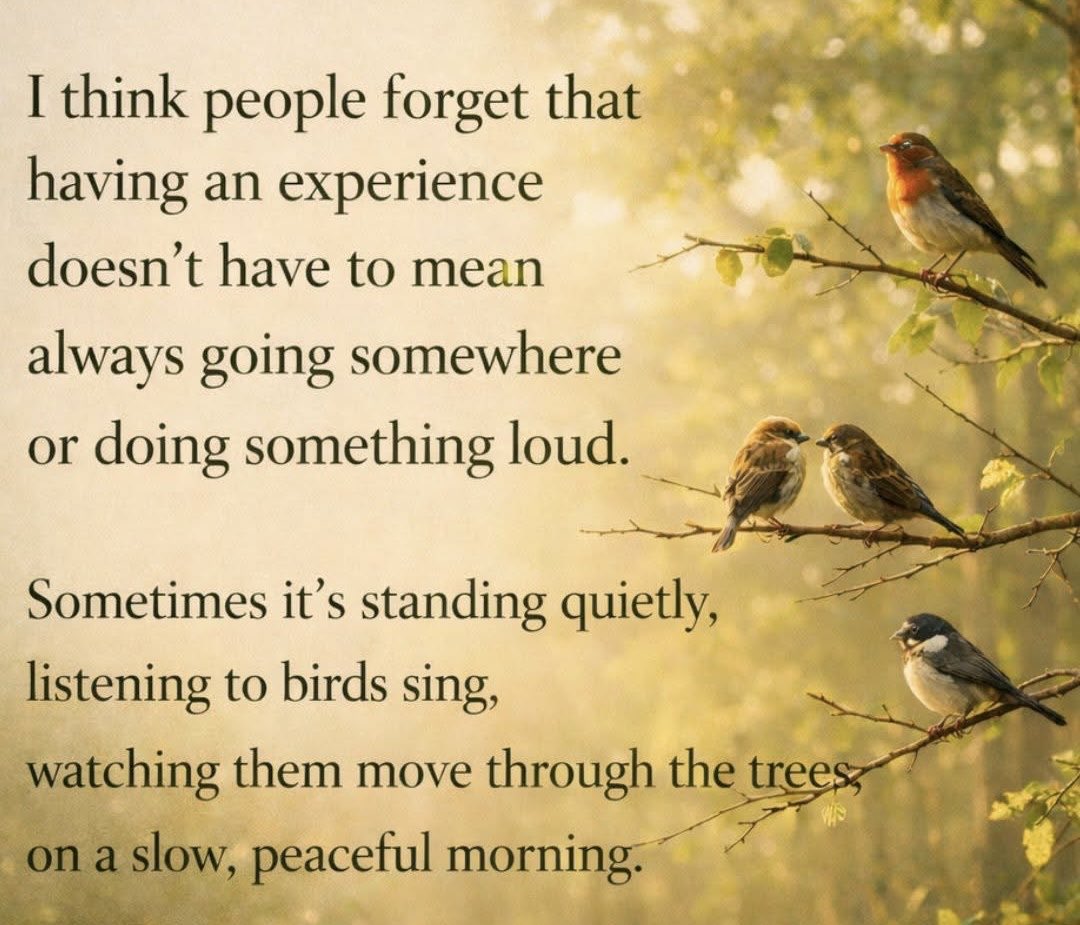 AnsElfMIA's tweet image. Stop chasing experiences everywhere—And remember how many are waiting right outside. ☀️ 🐦 #earthtime #birdsong