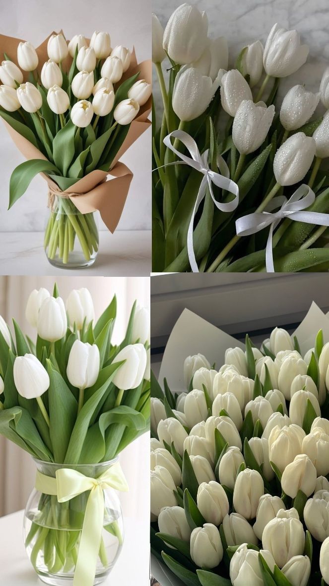 Tulips Library (@tulipslibrary) on Twitter photo 