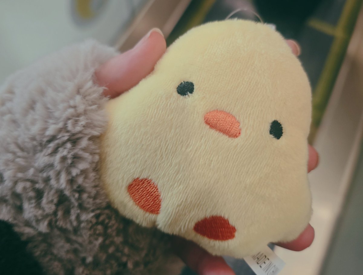 買っちゃったよ買う予定無かったのに😞