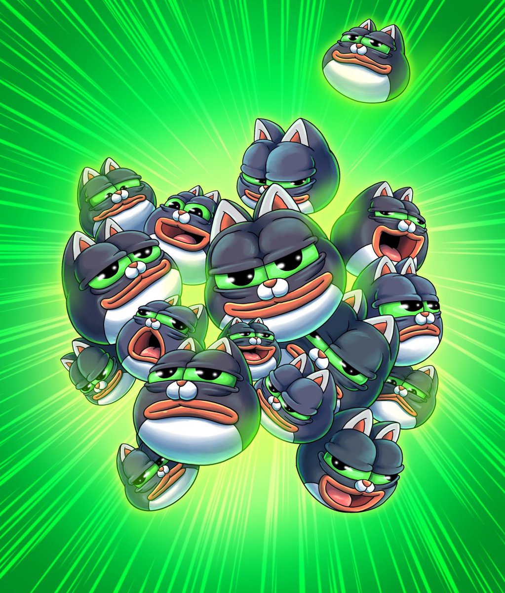 The group chat when someone mentions $Pepecat: 😻🙀😸😼