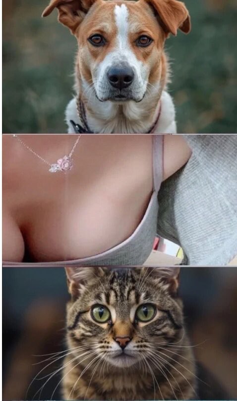 もっと見せちゃってる生配信してます♡

👉 lit.link/en/Ahoo08live

する時Xでお知らせするから通知オンにしておいてねー!